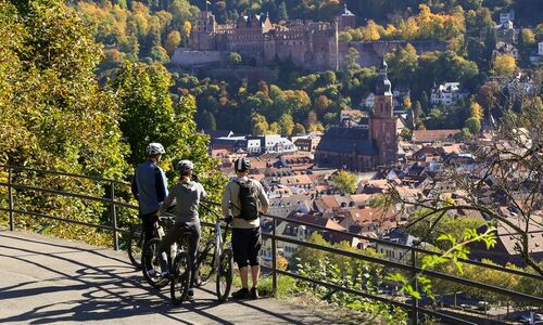 Personen, die vom Heidelberger Philosophenweg aus auf das Heidelberger Schloss und die Altstadt blicken.